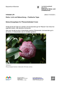 infoblatt_l04_pflanzen_Seite_1